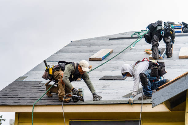 Professional Roofing technician working in Evansville, IN